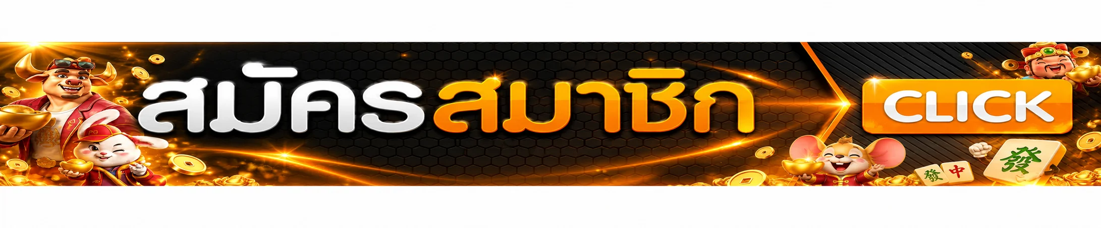 แบนเนอร์สมัครสมาชิกและทางเข้า SPINPG
